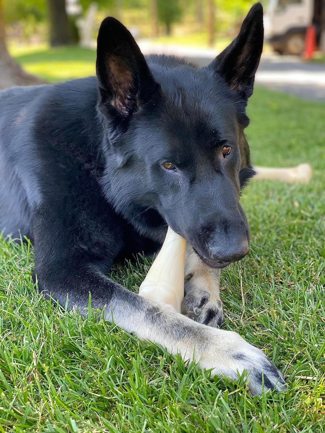 Power Chew Jumbo Drumstick Big Dog Chew Toy Drumstick Chicken Xx-Large/Monster (1 Count)