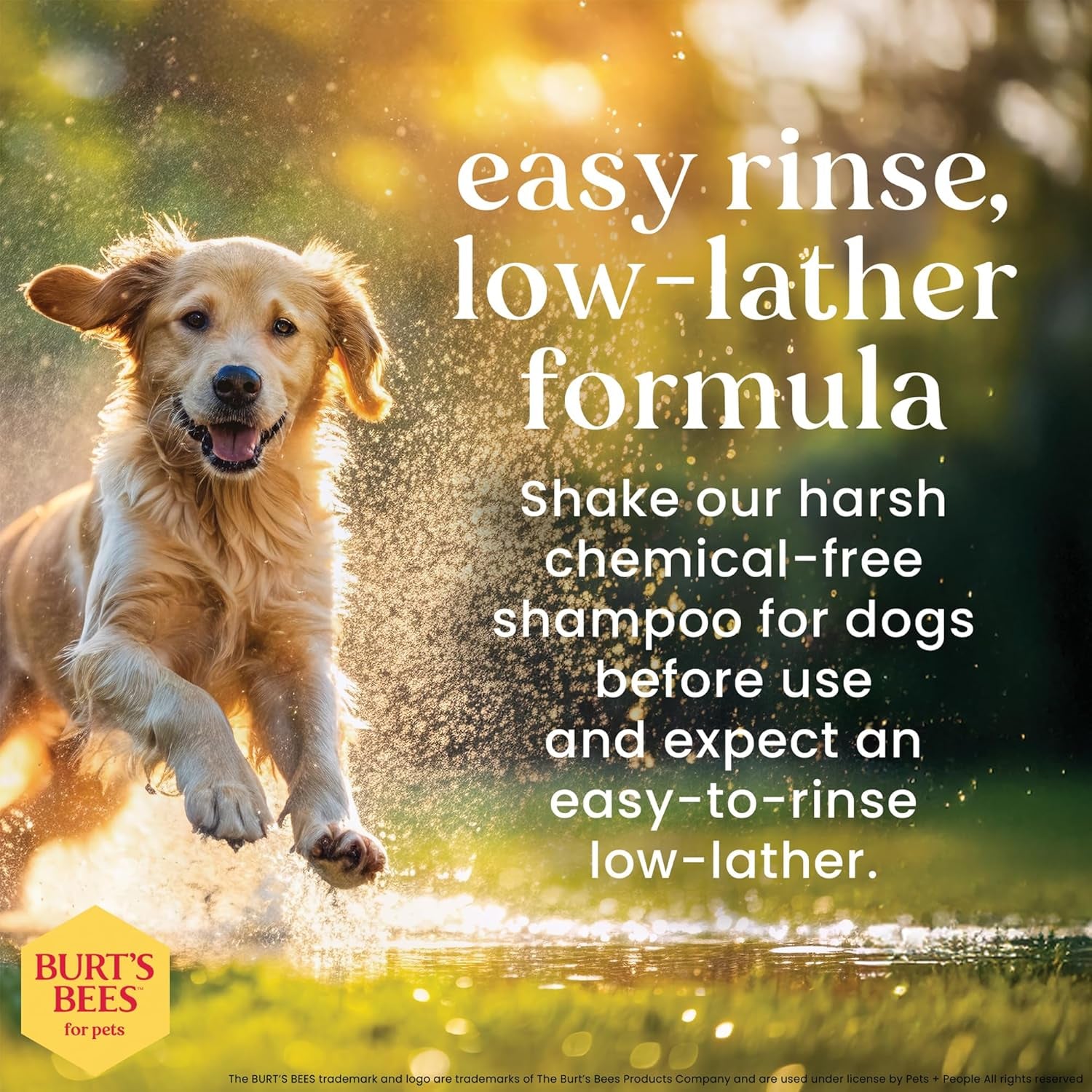 Deodorizing Dog Shampoo with Apple and Rosemary, 95% Natural Origin, Ph Balanced, Free of Sulfates, for Smelly Dogs, Gentle Dog Shampoo, 16 Fl Oz - 2 Pack